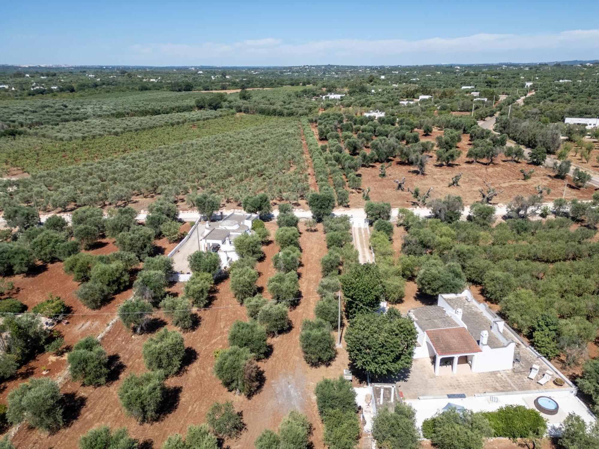 オストゥーニ Trullo La Querciaヴィラ エクステリア 写真