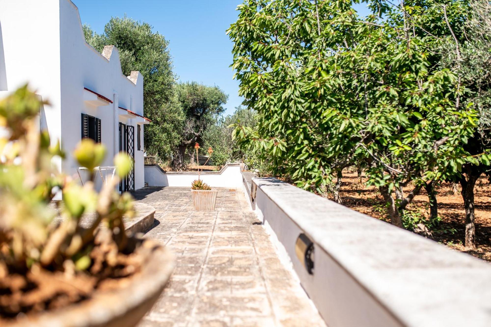 オストゥーニ Trullo La Querciaヴィラ エクステリア 写真